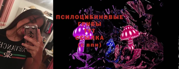 ешки Аркадак