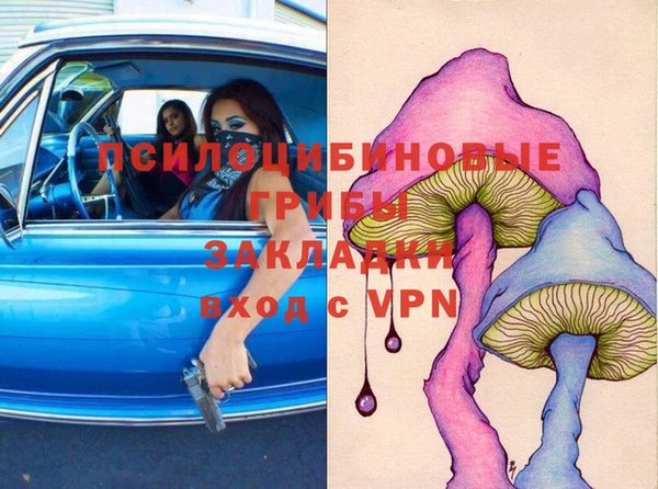 ешки Арсеньев