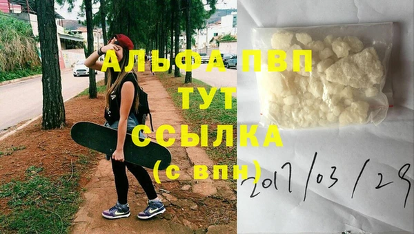ешки Аркадак