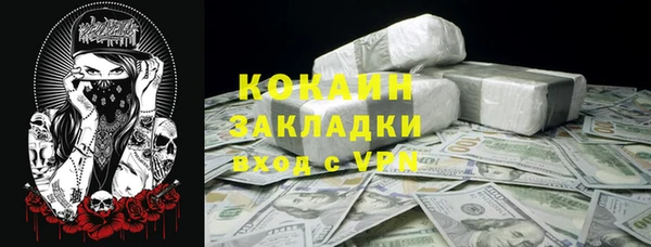 ешки Аркадак